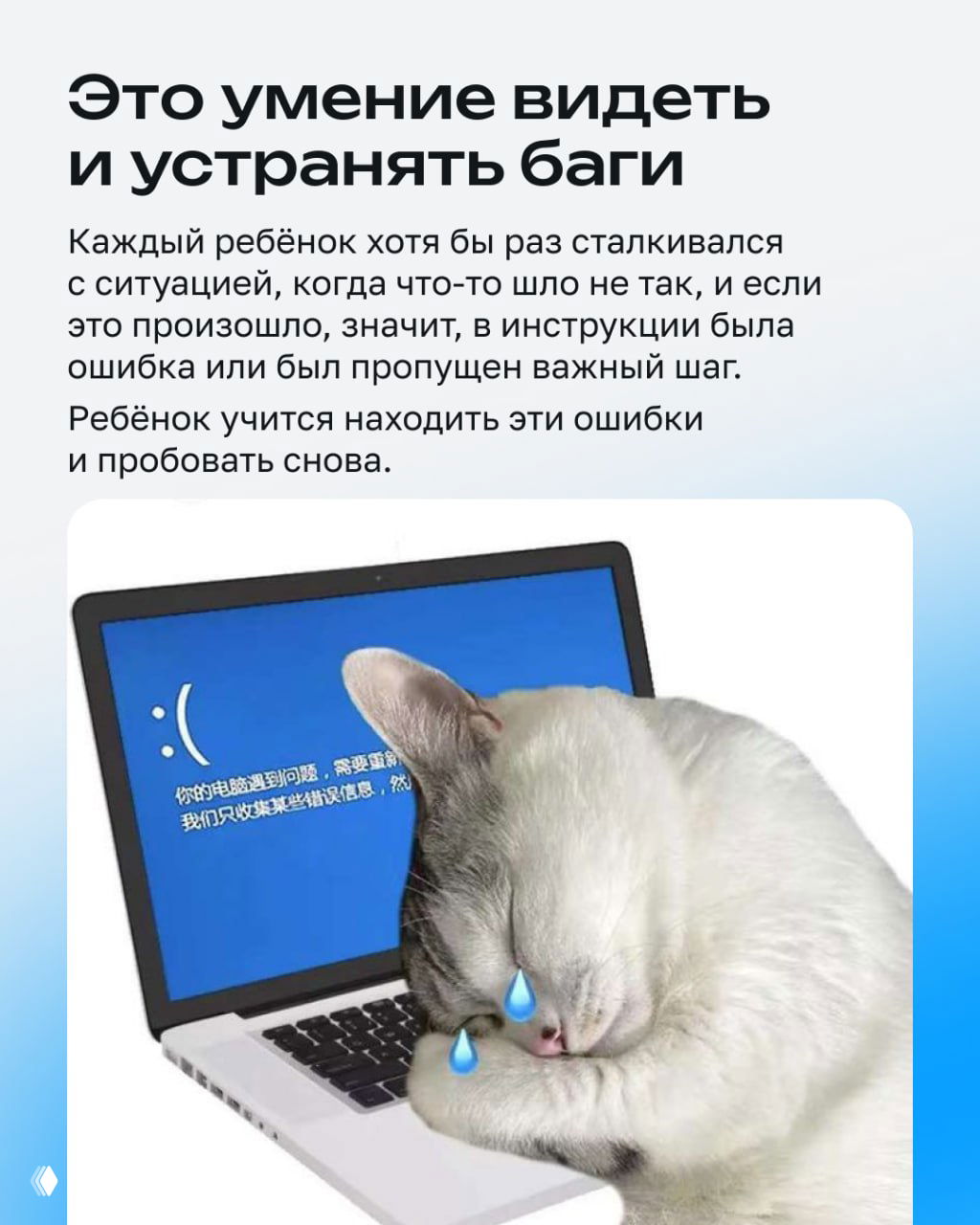 Слайд про умение находить и устранять баги: текст о поиске ошибок и изображение кота у ноутбука с синим экраном ошибки.