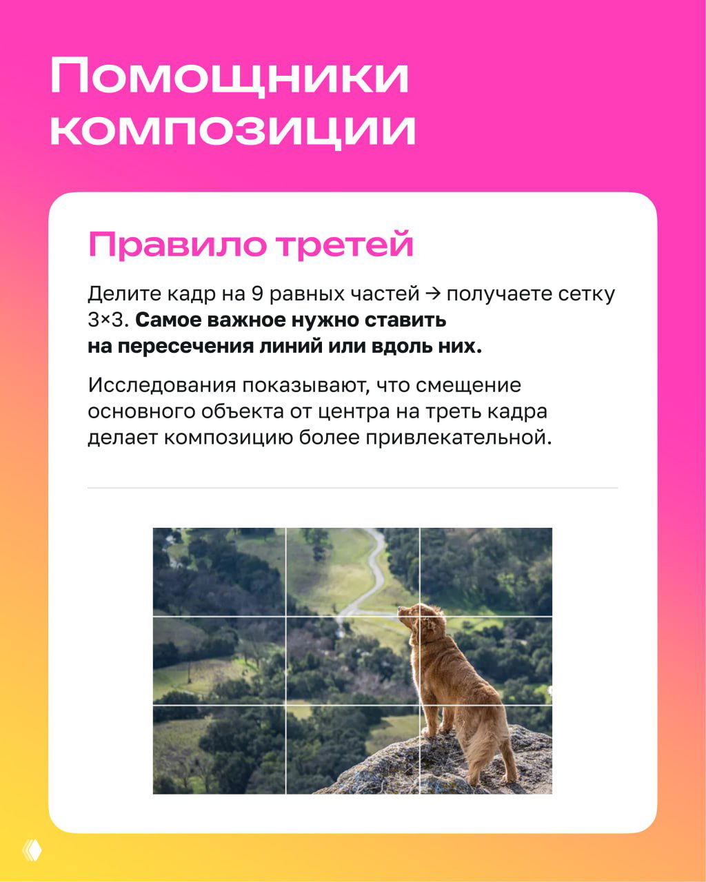 Слайд про правило третей: объяснение деления кадра на сетку 3×3 и фотография собаки, размещённой на пересечении линий для примера.