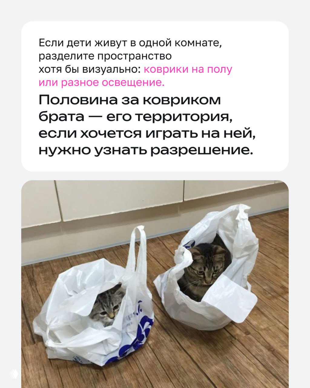 Карточка о визуальном разделении пространства: коврики, разное освещение; фотография двух котов в пакетах как иллюстрация личных зон и границ.