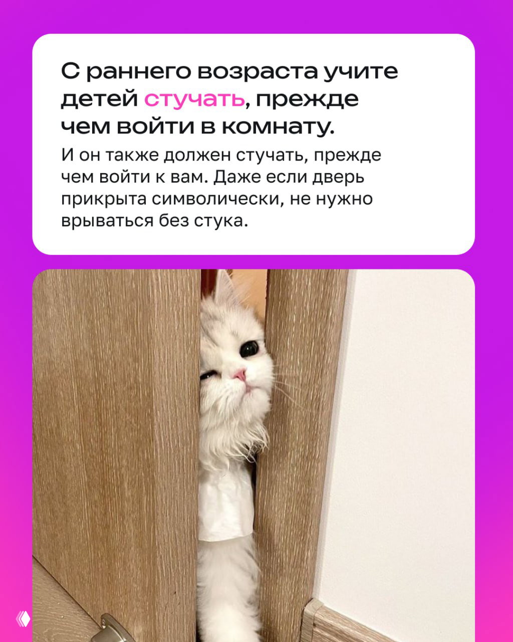 Карточка с советом приучать детей стучать перед входом в комнату; изображение котёнка выглядывающего из приоткрытой двери как наглядный пример границ.