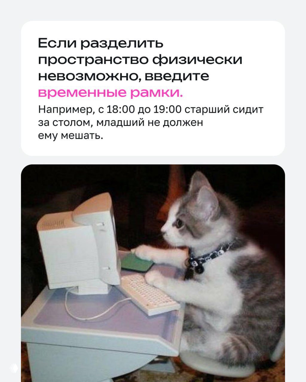 Карточка о временных рамках: пример расписания для старших и младших; фотография котёнка за компьютером символизирует личное цифровое время ребёнка.