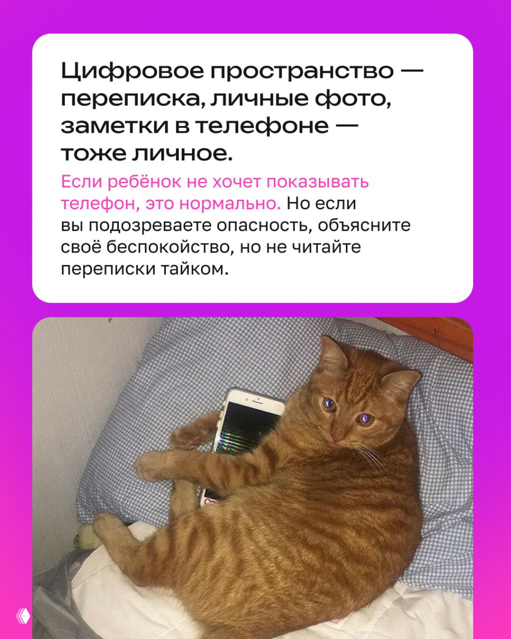 Карточка о цифровом пространстве: переписка, личные фото и заметки в телефоне тоже личное; фотография кота с телефоном как визуальная метафора приватности.