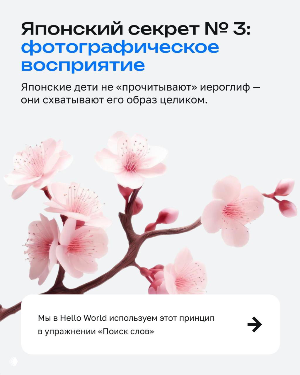 Иллюстрация с веткой сакуры и заголовком «фотографическое восприятие»: слайд объясняет, как дети схватывают иероглиф целиком.