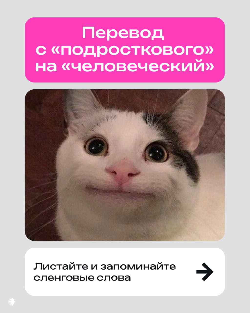 Перевод подросткового сленга