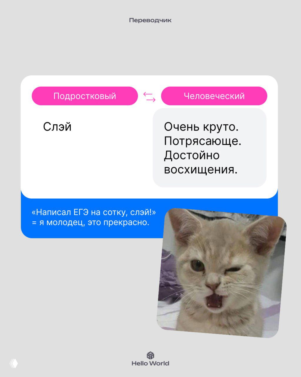 Карточка со словом «Слэй» в колонке «Подростковый» и переводом «Очень круто. Потрясающе» в колонке «Человеческий», рядом мем-кот.