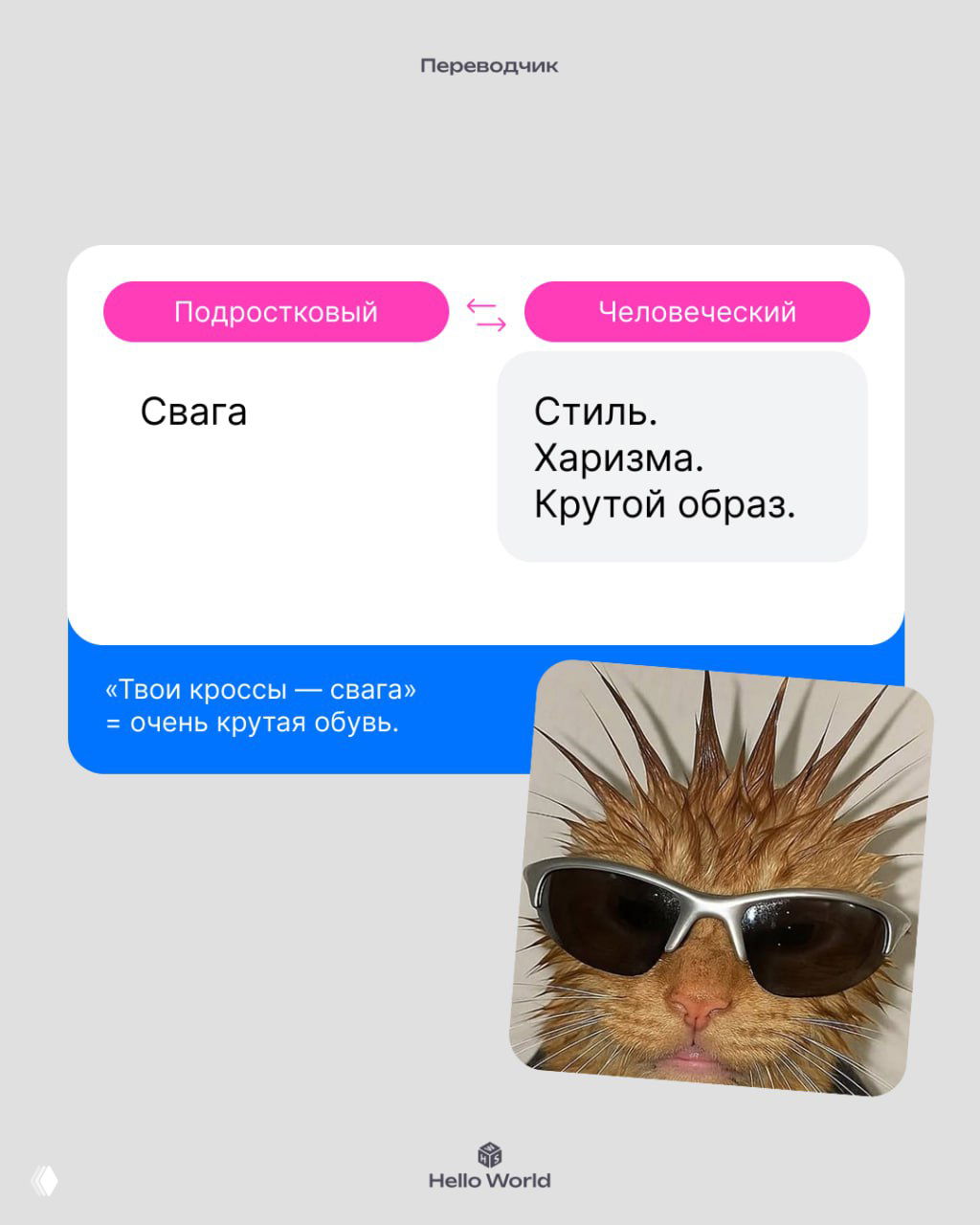 Карточка с «Свага» в колонке подросткового сленга и переводом как «Стиль. Харизма. Крутой образ», сопровождаемая фото кота в очках и игривым фоном.