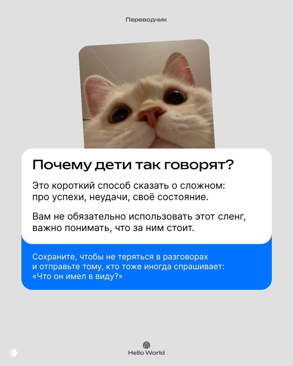 Финальная карточка с заголовком «Почему дети так говорят?» и пояснением, что сленг — короткий способ сказать о сложном, рядом крупное фото любопытного кота.