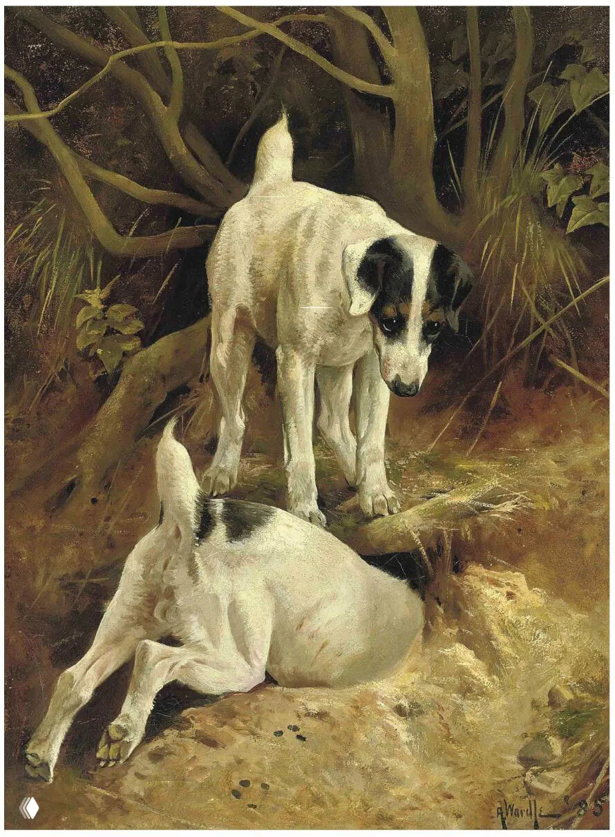 Охота на кроликов — Arthur Wardle (1864–1949)