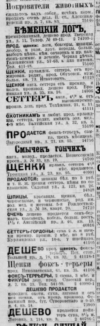 Объявления о продаже собак — Петербург, 23 сентября 1912