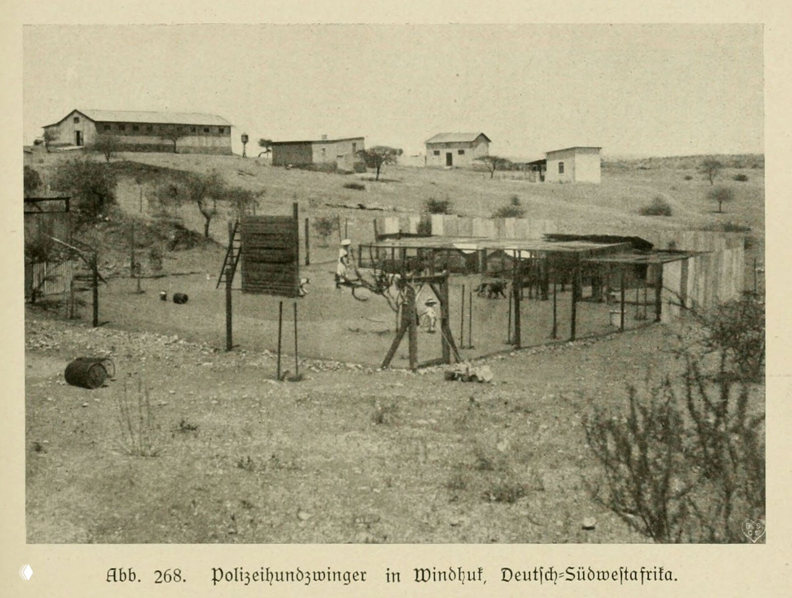 Полицейский питомник в Виндхуке (1921)