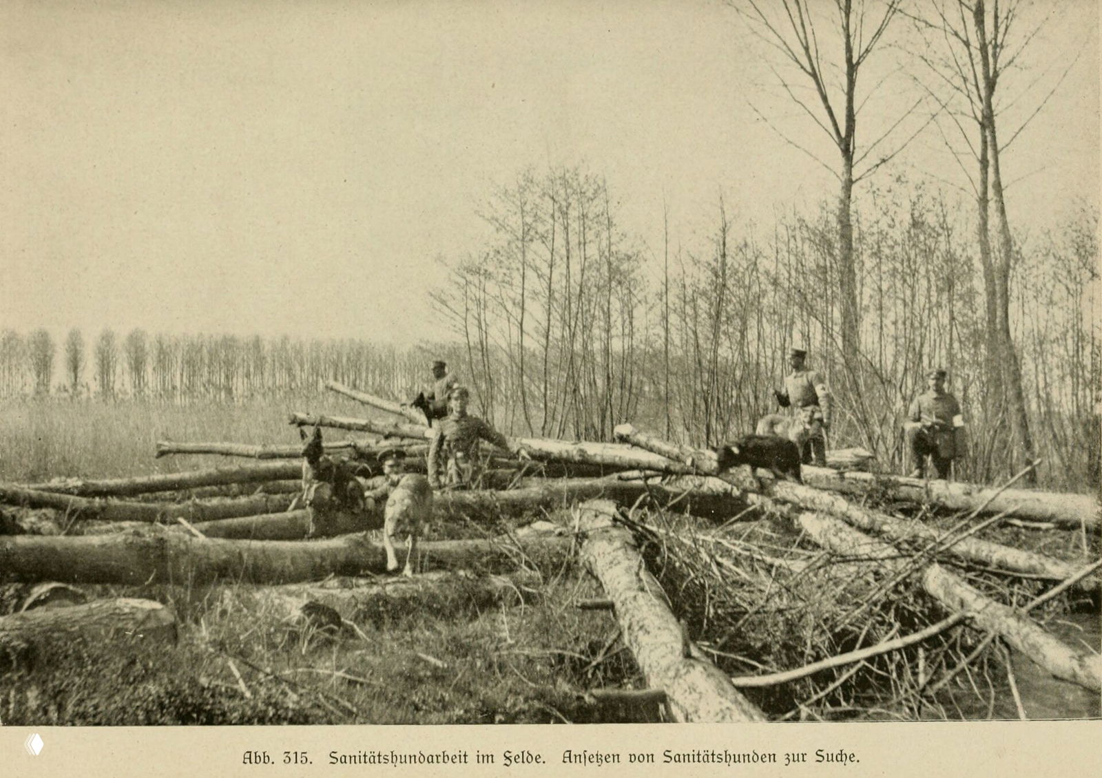 Работа санитарной собаки в полевых условиях