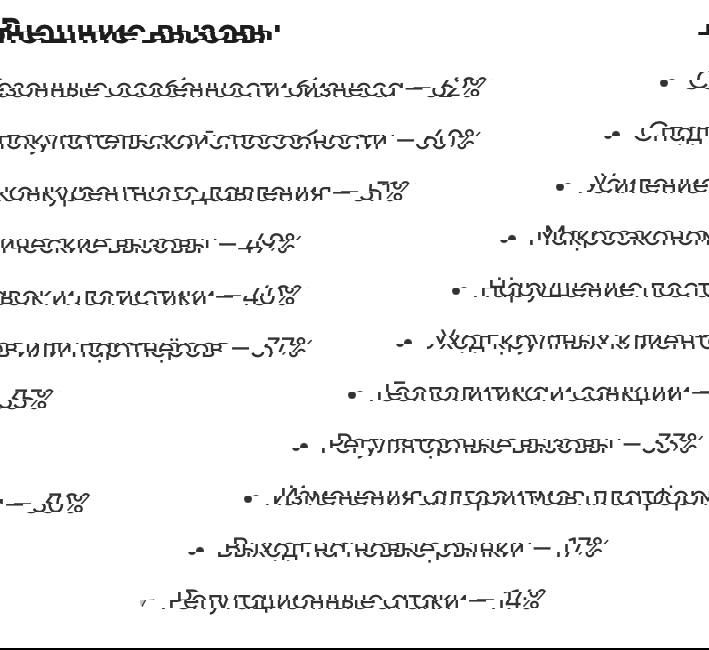 Скрин с блоком «Внешние вызовы»: перечислены сезонные особенности, спад покупательской способности, логистика, санкции и другие факторы с процентами.