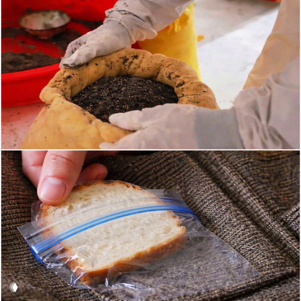 Отчёт проекта «За Хлеб» за 2 недели