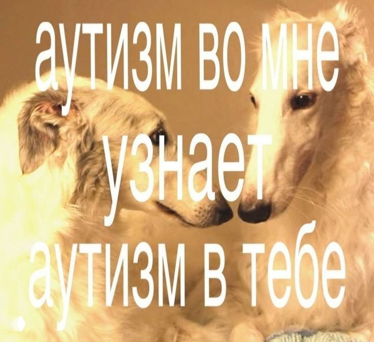 Бытовое употребление диагнозов: аутизм и не только