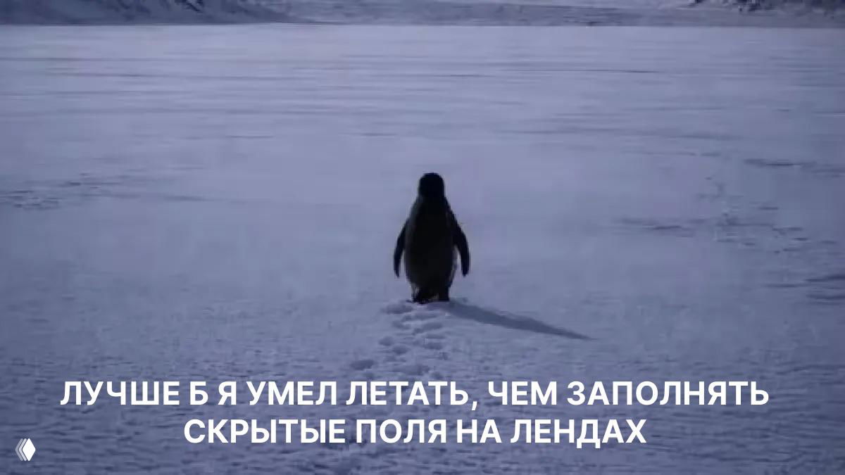 Ханейпот для бота