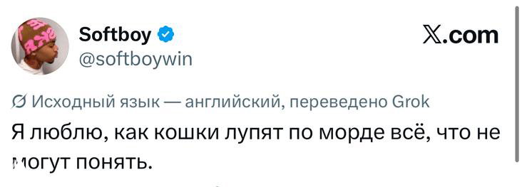 Скриншот твита с короткой шуткой про то, как кошки упираются в лица — видно имя автора и стандартный интерфейс X с белым фоном.