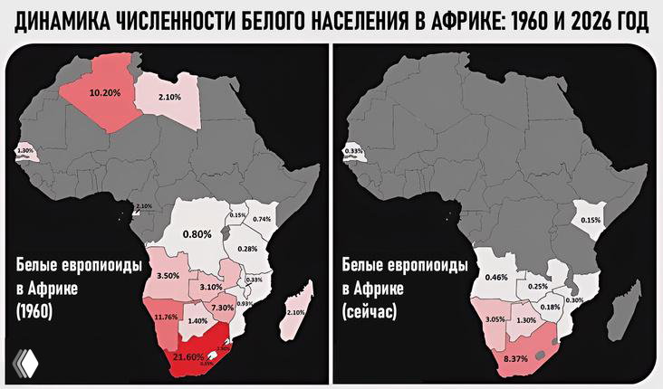 Изменение численности белого населения в Африке за полвека