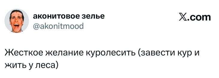 Скриншот твита с фразой о желании «куролесить» (завести кур и жить в лесу), видны аватар, текст и логотип X на карточке.