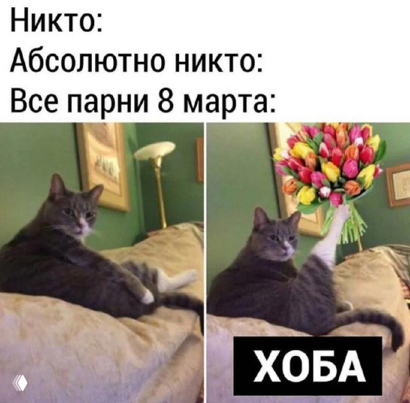 Лучшие анекдоты про 8 Марта