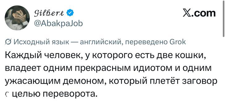 Скриншот англоязычного твита с переводом, видно имя аккаунта, текст шутки о кошках и логотип X.com.