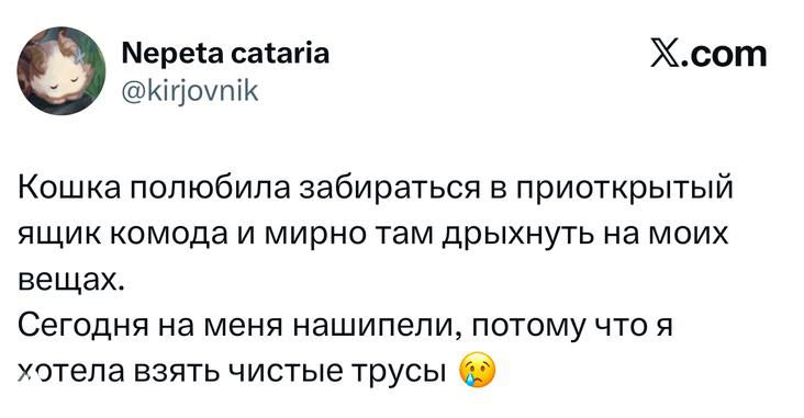 Скриншот твита о кошке, которая забирается в приоткрытый ящик и засыпает на вещах автора — смешная бытовая история с эмодзи.
