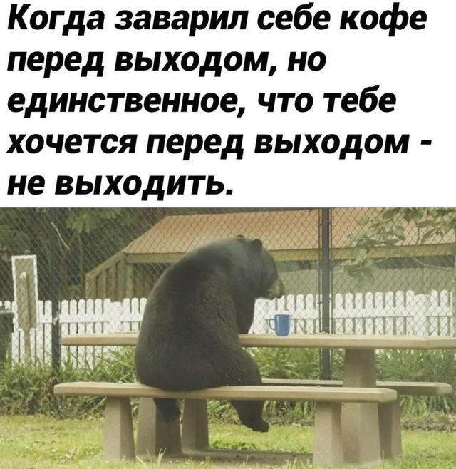 Мемы и картинки про выход на работу после майских