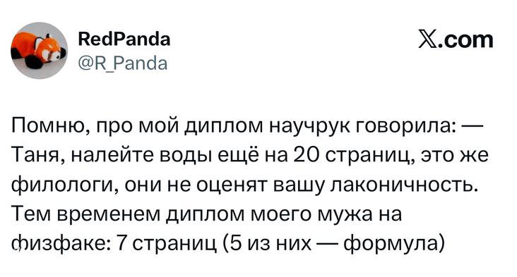 Скриншот твита про диплом и факультет: автор делится воспоминанием о длинных страницах и лаконичности, текст на русском, видно оформление поста.