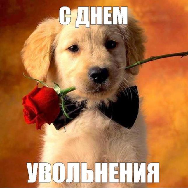 Каждая седьмая компания готовится увольнять сотрудников