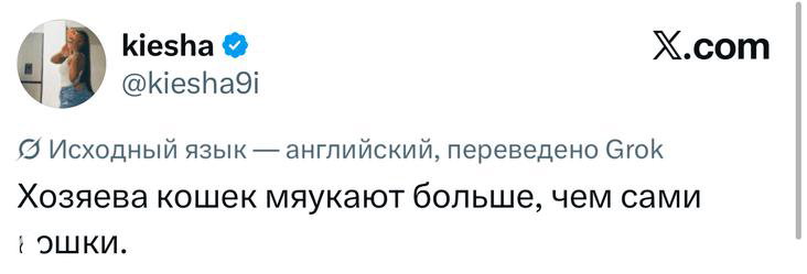 Скриншот твита о кошках: короткая юмористическая реплика про мяуканье хозяев и питомцев, текст на русском, видно ник и оформление X.
