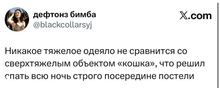 Скриншот твита о «сверхтяжелом объекте «кошке»», текст шутки крупным планом, видны элементы интерфейса X и аватар автора.