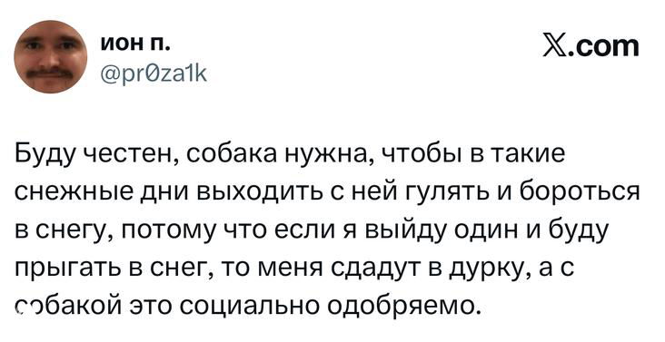 Скриншот твита с длинным текстом о том, что автору нужна собака, чтобы в снежную погоду не выглядеть странно при прыжках в снег и прогулках.