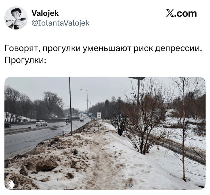 Скриншот твита про прогулки и депрессию: изображена заснеженная обочина дороги и подпись-ирония в тексте твита, видны элементы интерфейса X.