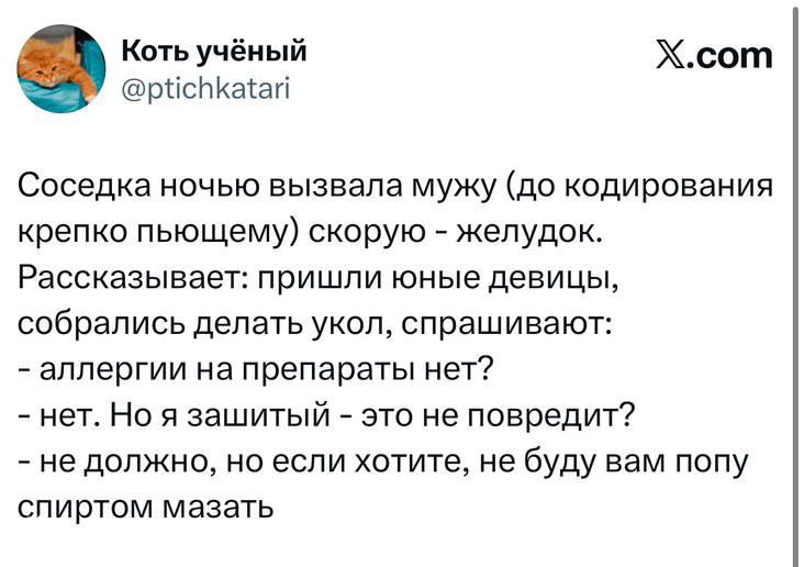Скриншот твита в виде текста диалога: заметна шутливая история, аватар и логотип X — подборка твитов от зарубежного корреспондента.