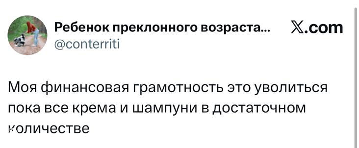 Скриншот лаконичного твита о финансовой грамотности и шампунях, видно текст, ник автора и логотип X — юмористическая заметка.