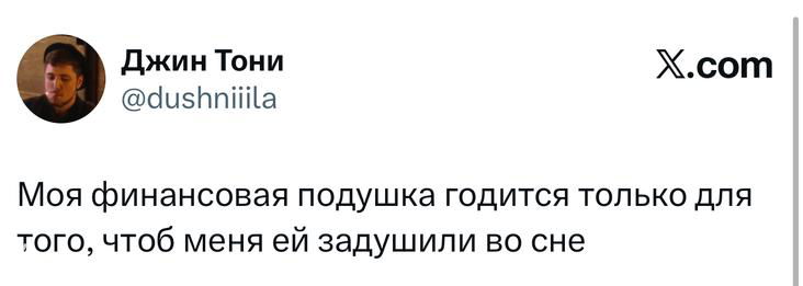 Скриншот твита о «финансовой подушке», текст шутки на белом фоне, видно имя автора, аватар и логотип X в углу изображения.
