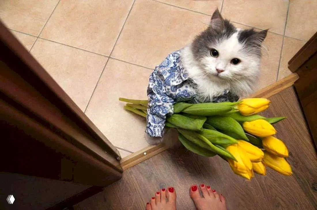 Поздравляем всех читательниц MaximOnline с 8 марта!