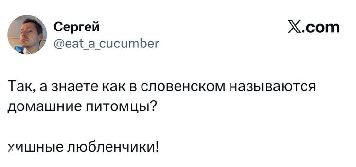 Самые смешные шутки вторника и «хищные любленчики»