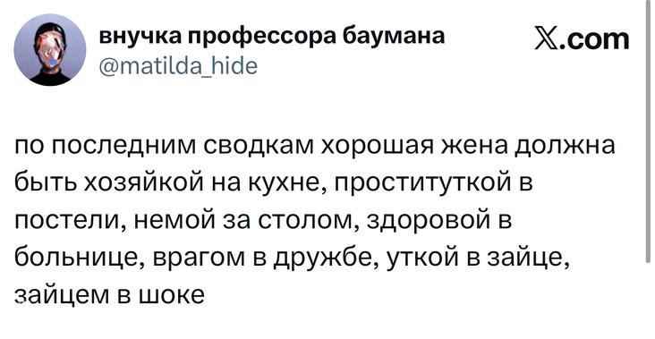 Скриншот твита с длинной и ироничной шуткой о роли хорошей жены; видны ник, аватар и оформление поста на платформе X.