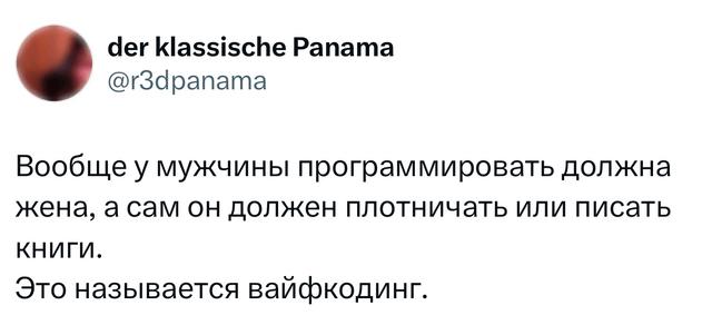 Скриншот твита-мысли про программиста, жену и вайфройдинг; короткий юмористический текст на светлом фоне для подборки шуток.