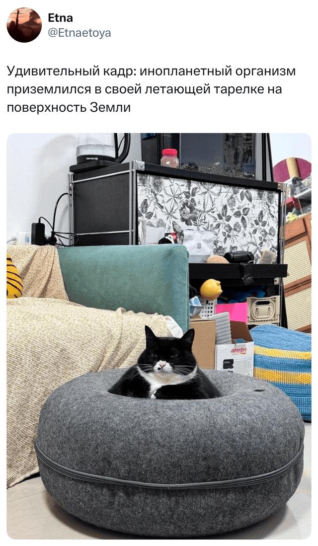 Лучшие шутки недели и максимально армянский момент