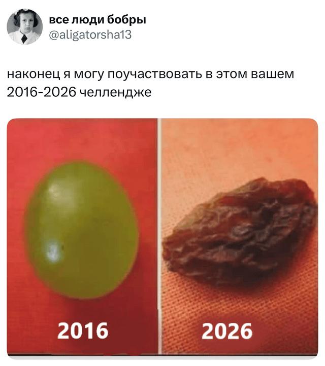 Скриншот твита с коллажем: слева виноградина 2016 года, справа изюм 2026 года — шутливое сравнение за десять лет.
