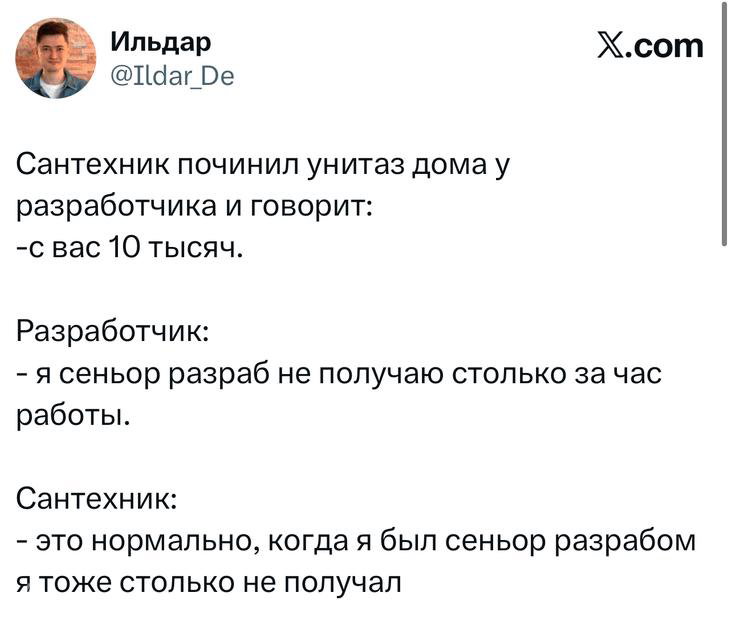 Скриншот твита с анекдотом про сантехника и разработчика: текстовый мем с аватаром, белый фон и логотип X.com вверху снимка.