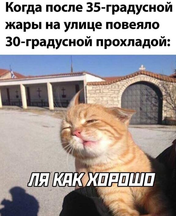 Жара может сокращать ваш рабочий день