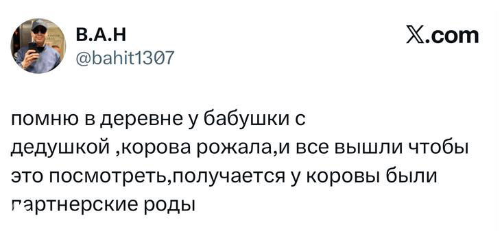 Скрин твита с короткой историей из деревни: воспоминание о корове, которая рожала, формат шутливого рассказа на белом фоне с аватаром автора.