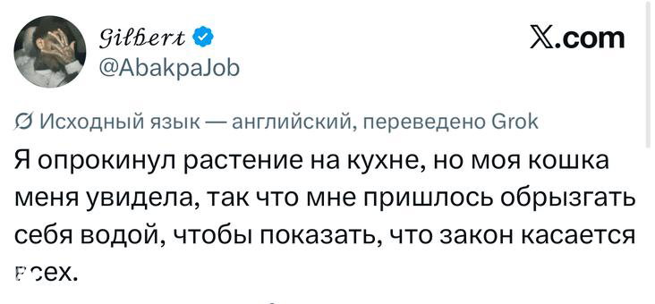 Скрин твита о том, что автор опрокинул растение, и кошка это увидела, поэтому пришлось обрызгать себя водой — юмористический бытовой сюжет.