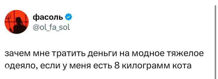 Скриншот твита фасоль: вопрос-шуточка про трату денег на тёплое одеяло, если есть восьмикилограммовый кот — короткий юмористический пост.