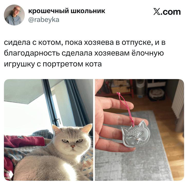 Две фотографии: кот на диване и сделанная вручную игрушка-елочная подвеска с портретом кота — домашняя сцена и сувенир в кадре.