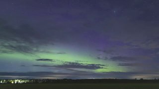 Панорамный вид северного сияния над Выборгом: зелёные и фиолетовые полосы на ночном небе над полем и силуэтом леса, звёзды видны.