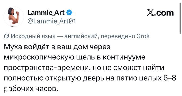 Скриншот твита с шутливым текстом о мухе, которая войдёт в дом через микроскопическую щель в пространстве‑времени; перевод автора виден ниже.
