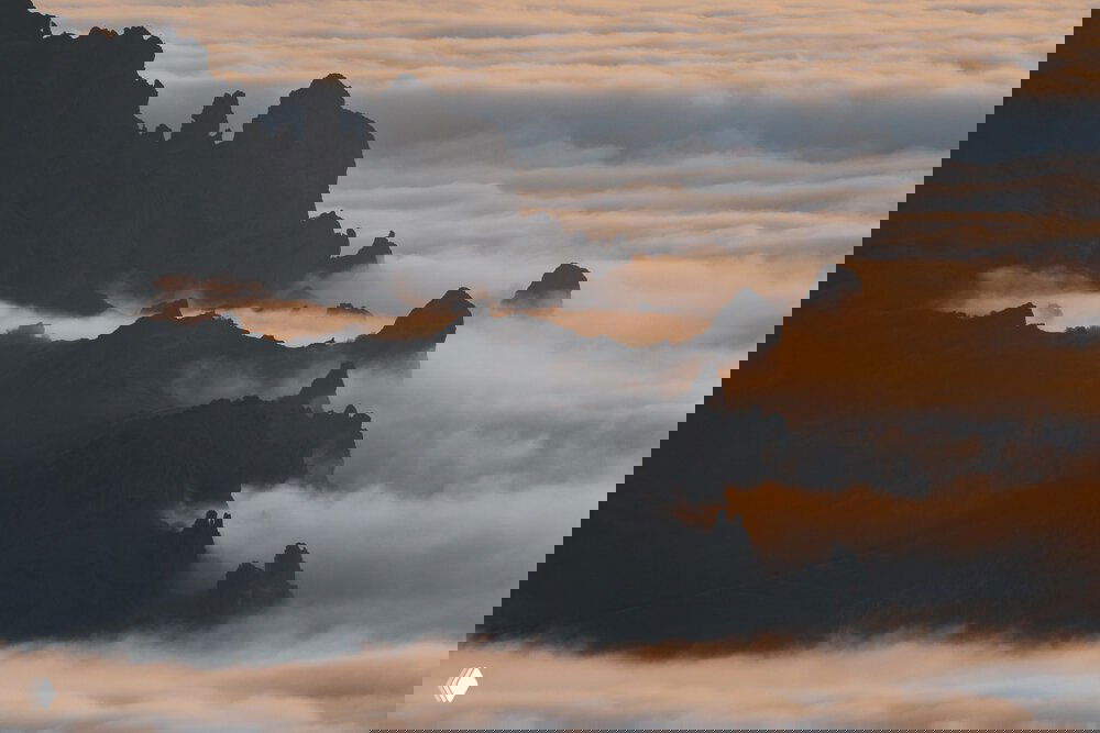 Туманные скалы Крыма, утренний или вечерний свет стелется между вершинами, создавая атмосферу мистического пейзажа.